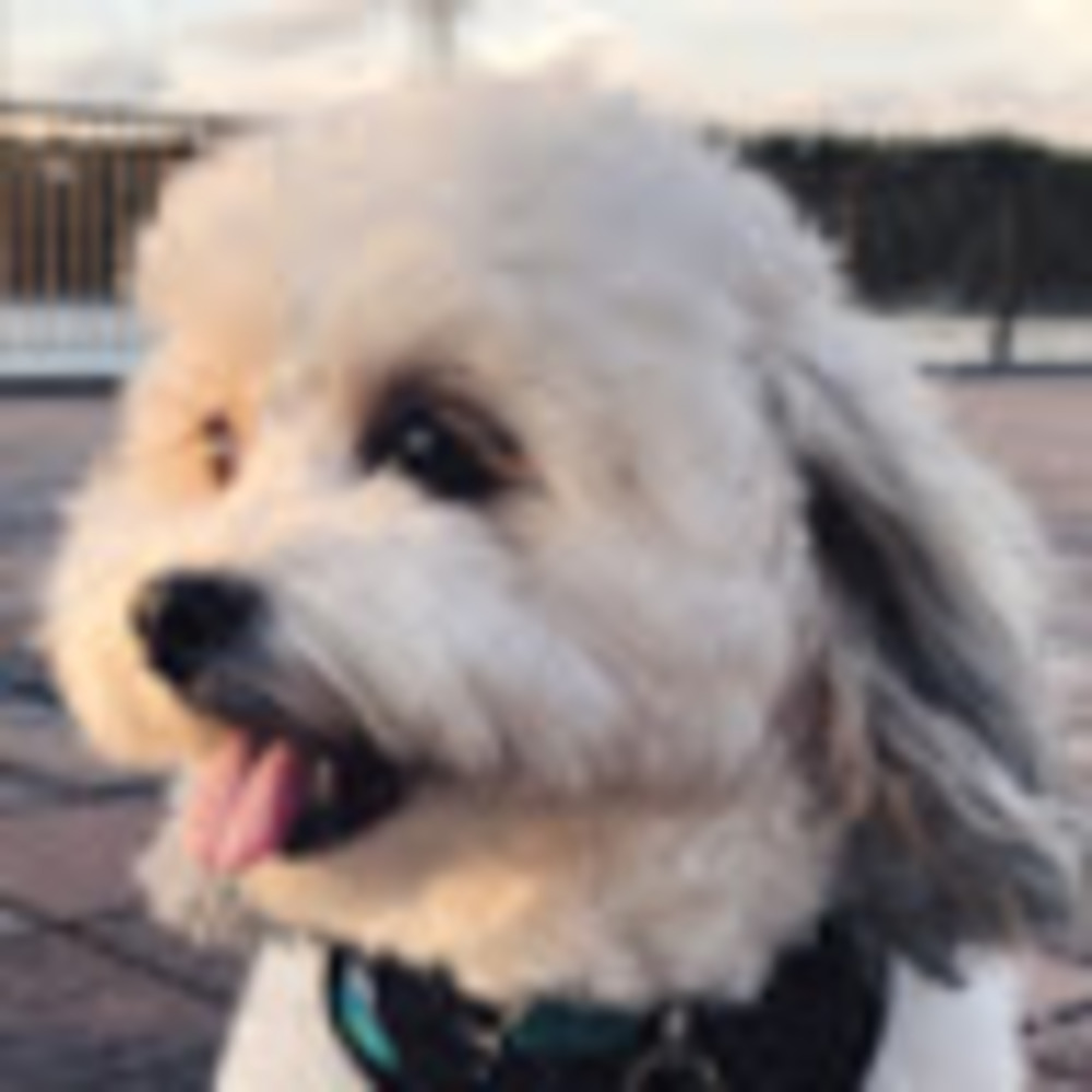 Meet your Posher, Rosette